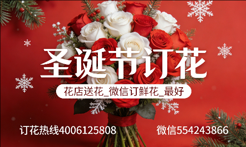 �����质�ػ���